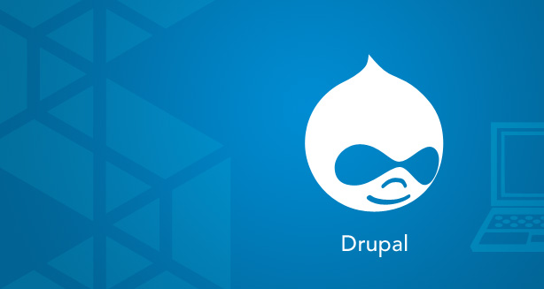¿Utilizarías Drupal?