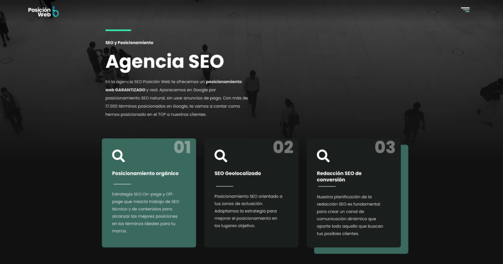 Servicios profesionales - diseño web y posicionamiento web